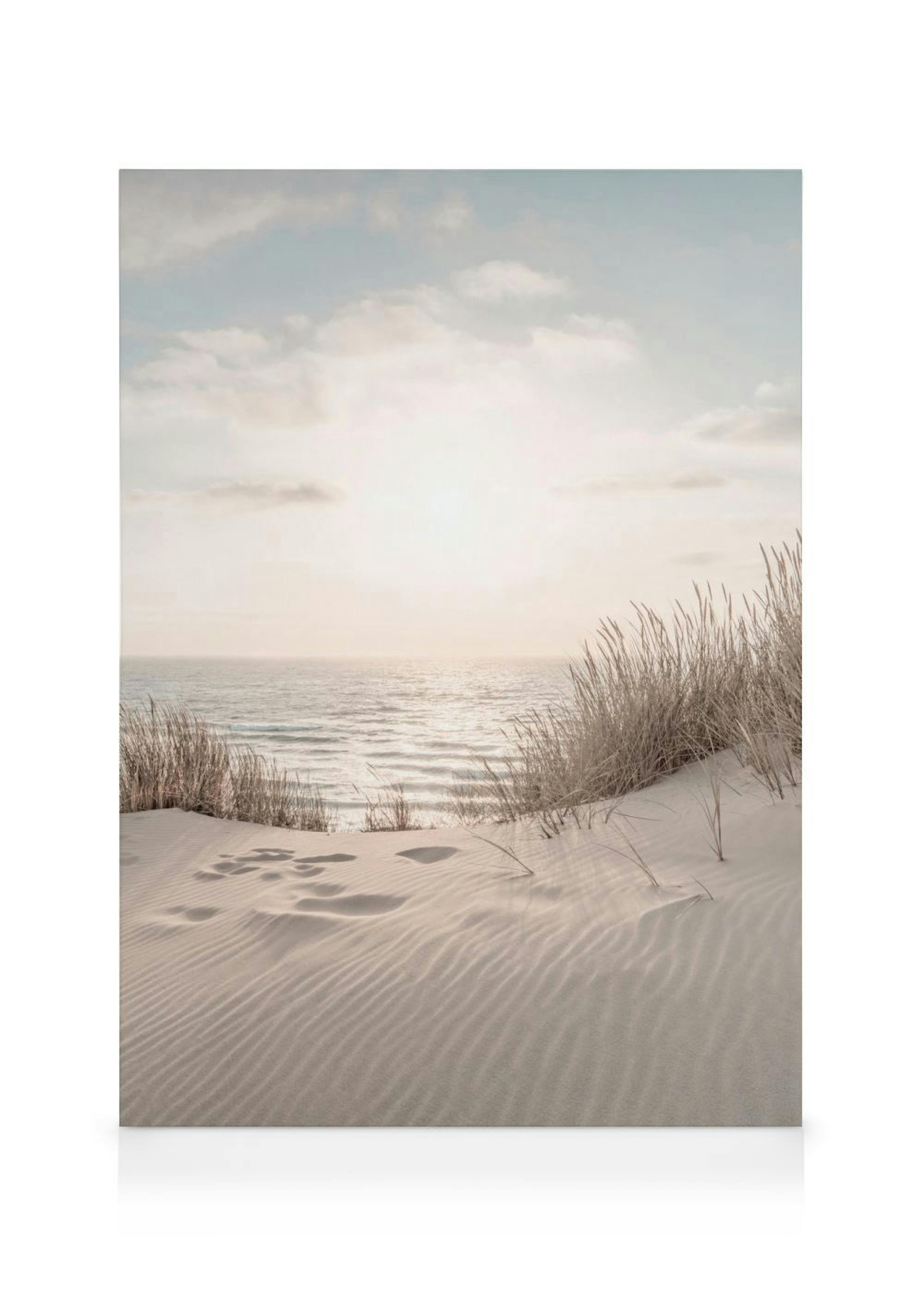Dune Beach No2 Canvas: Golden hour photography of a beach with sand dunes, sunbeams reflecting on the water, and soft, warm colo