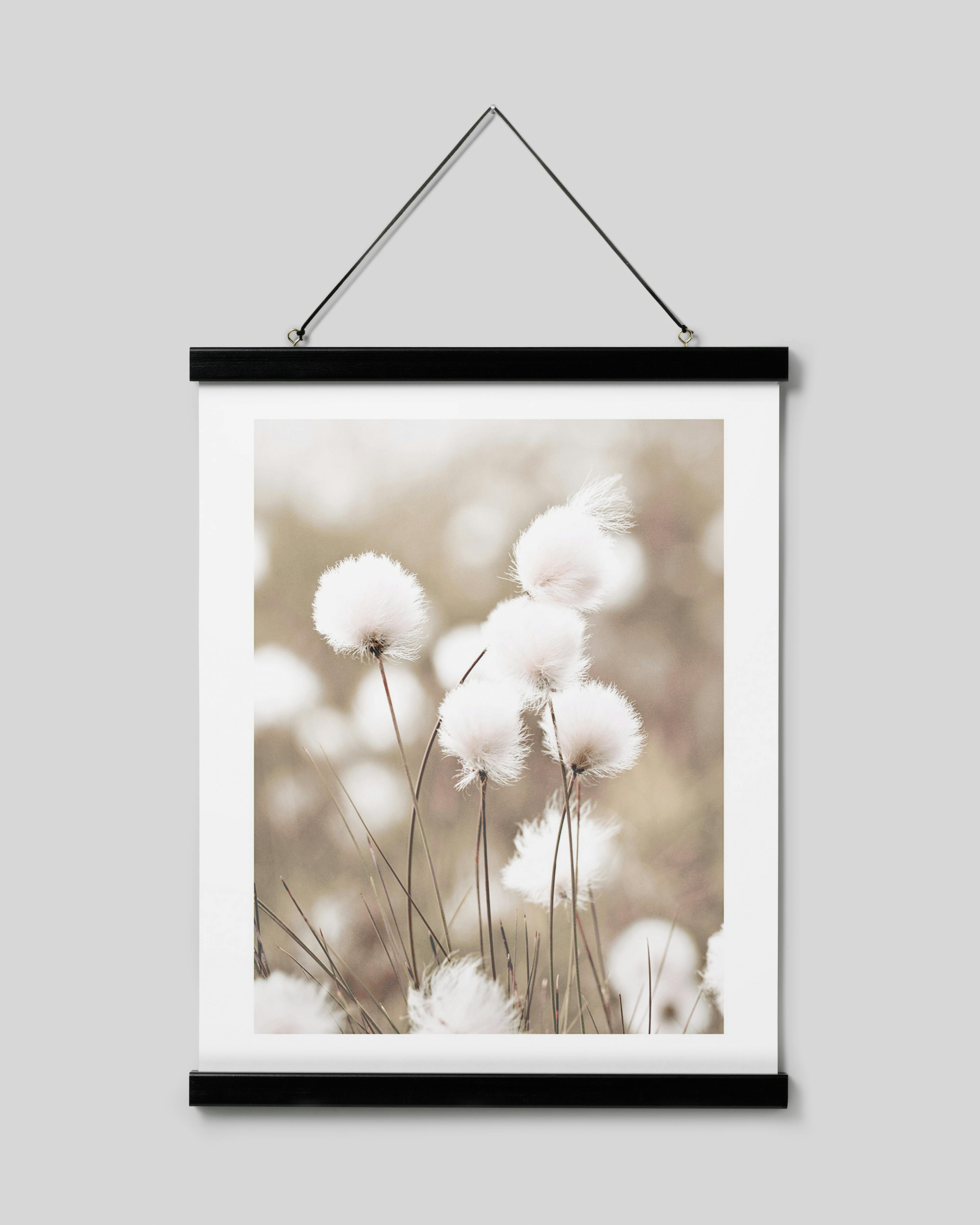 Product image: 2
