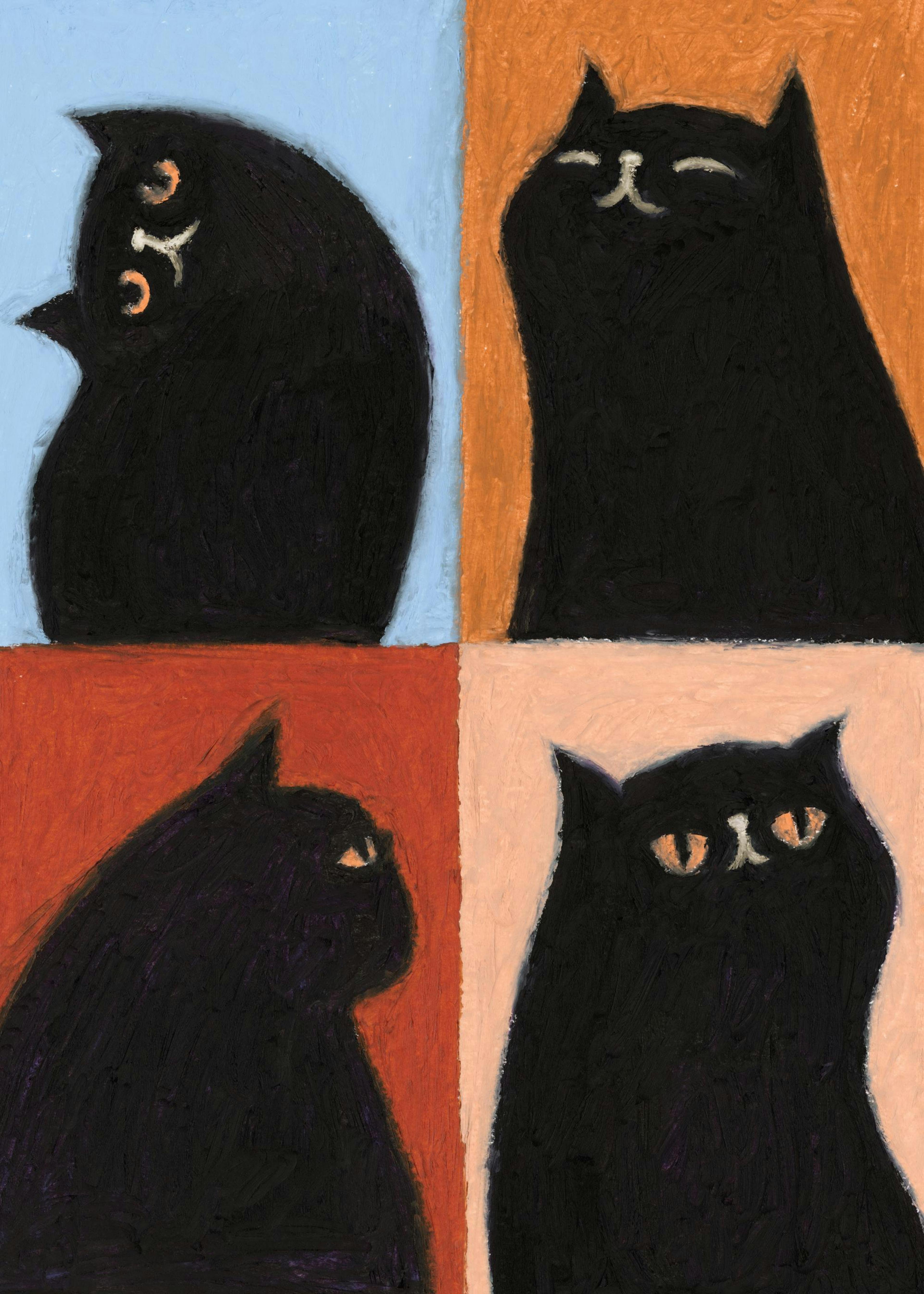 Black Cat Quadrant Print 0