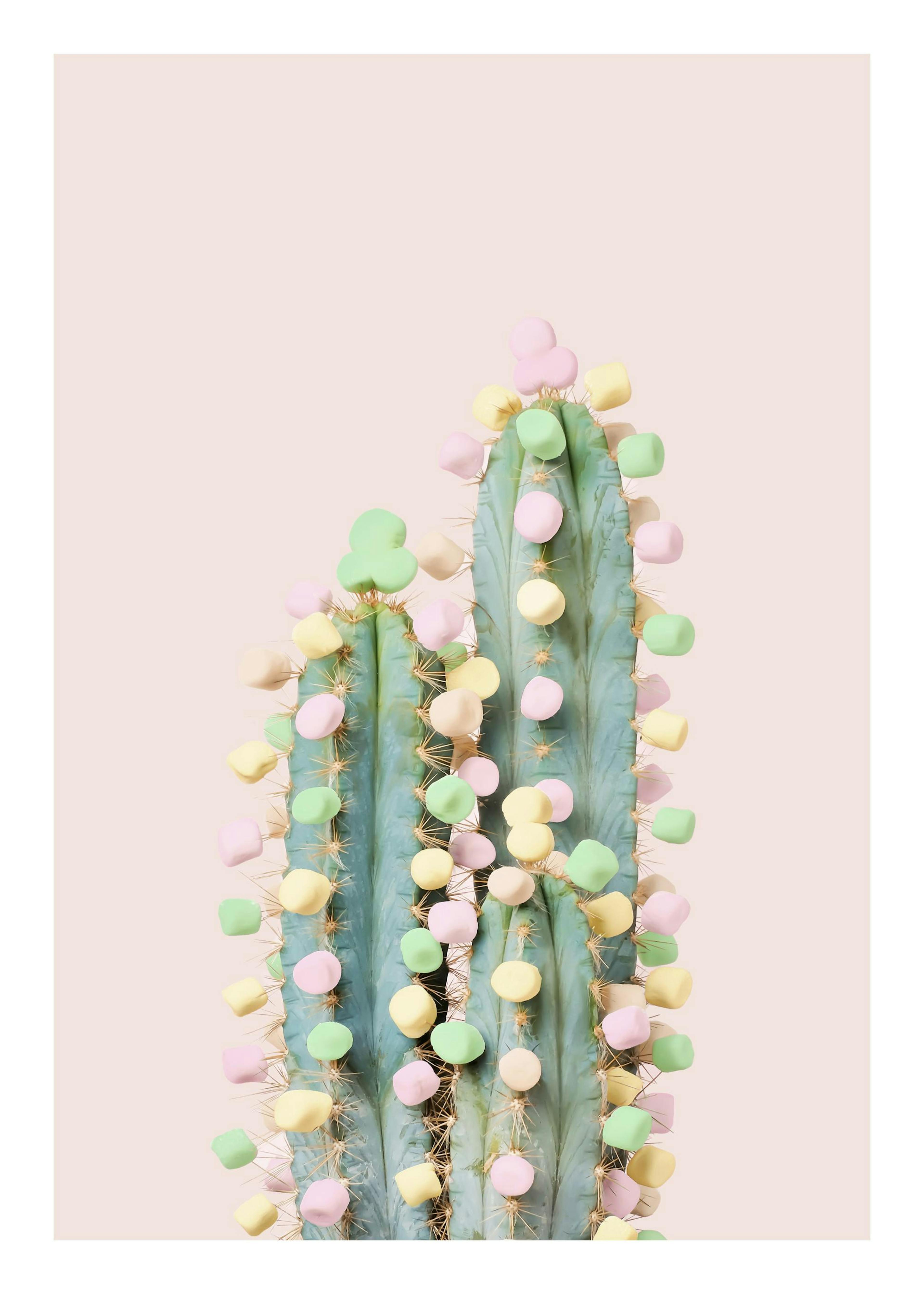 Affiche de cactus vert avec des bonbons pastel colorés, rose, jaune et vert clair sur fond rose pâle. Typographie douce.