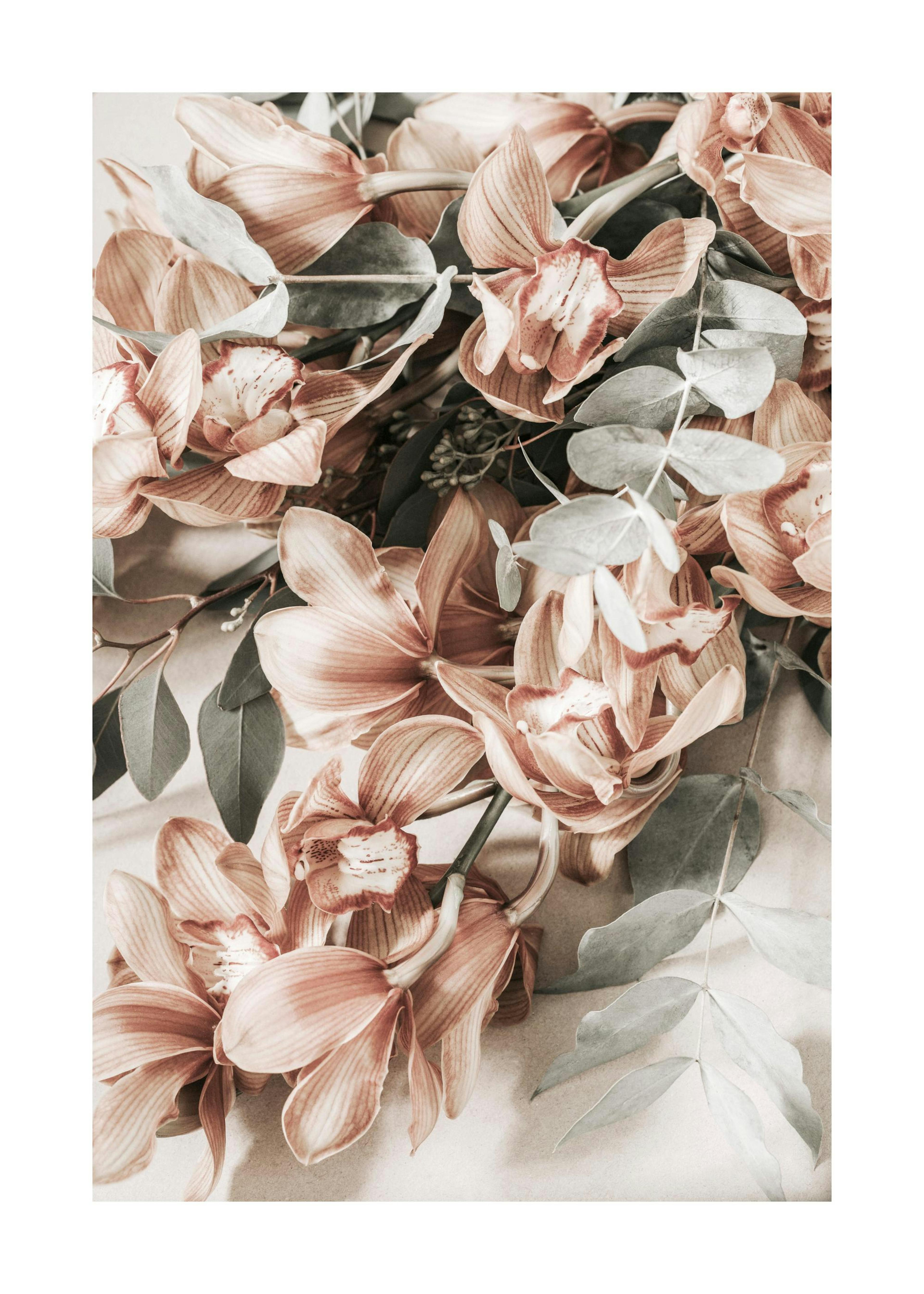 Fotografie eines Blumenstraußes mit rosa Blüten und grünen Blättern, Herbstblumen Poster.