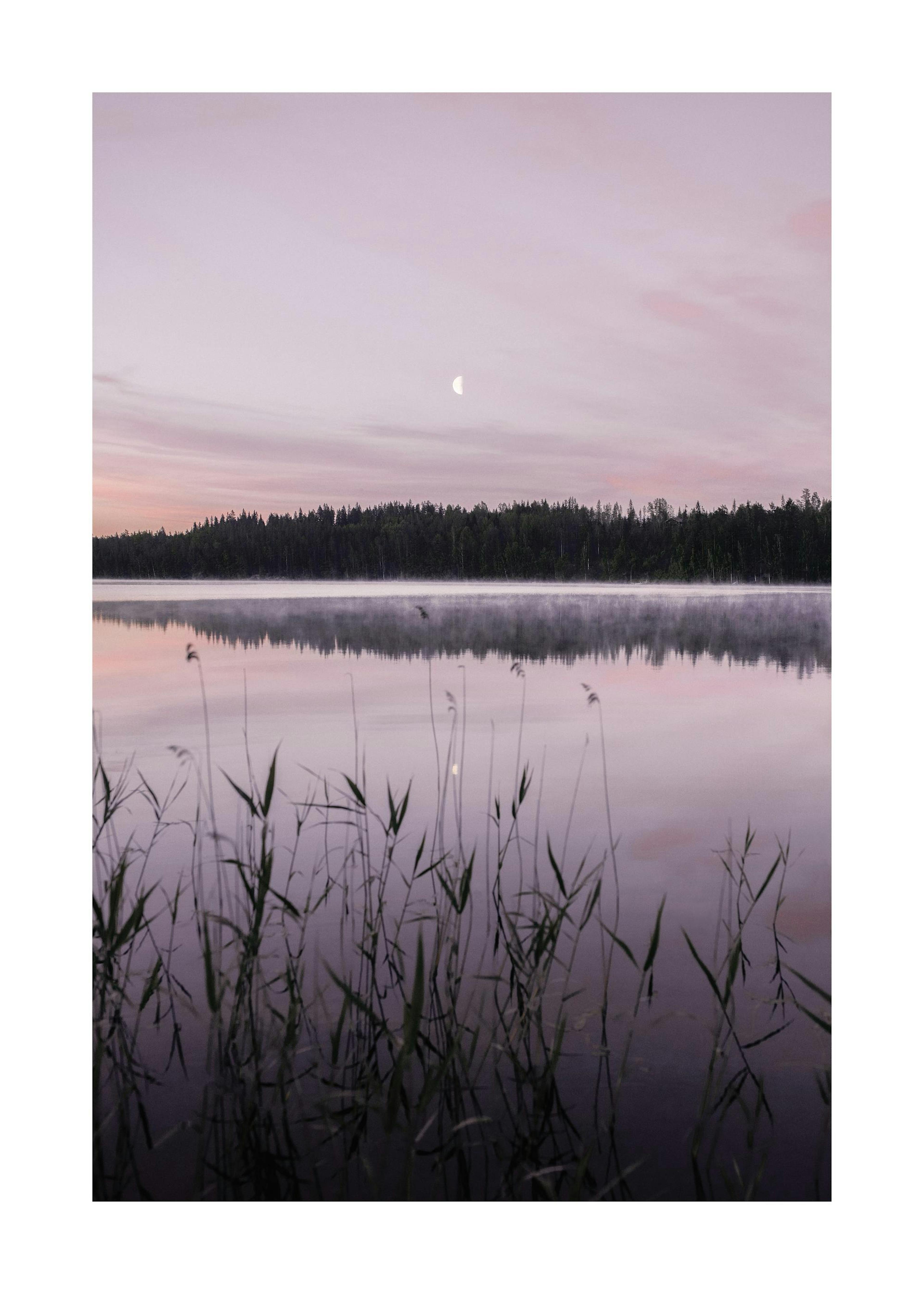 Poster med sjölandskap i skymning, med rosa himmel och vass i förgrunden, hängande på en mörklila vägg ovanför ett svart avlastn