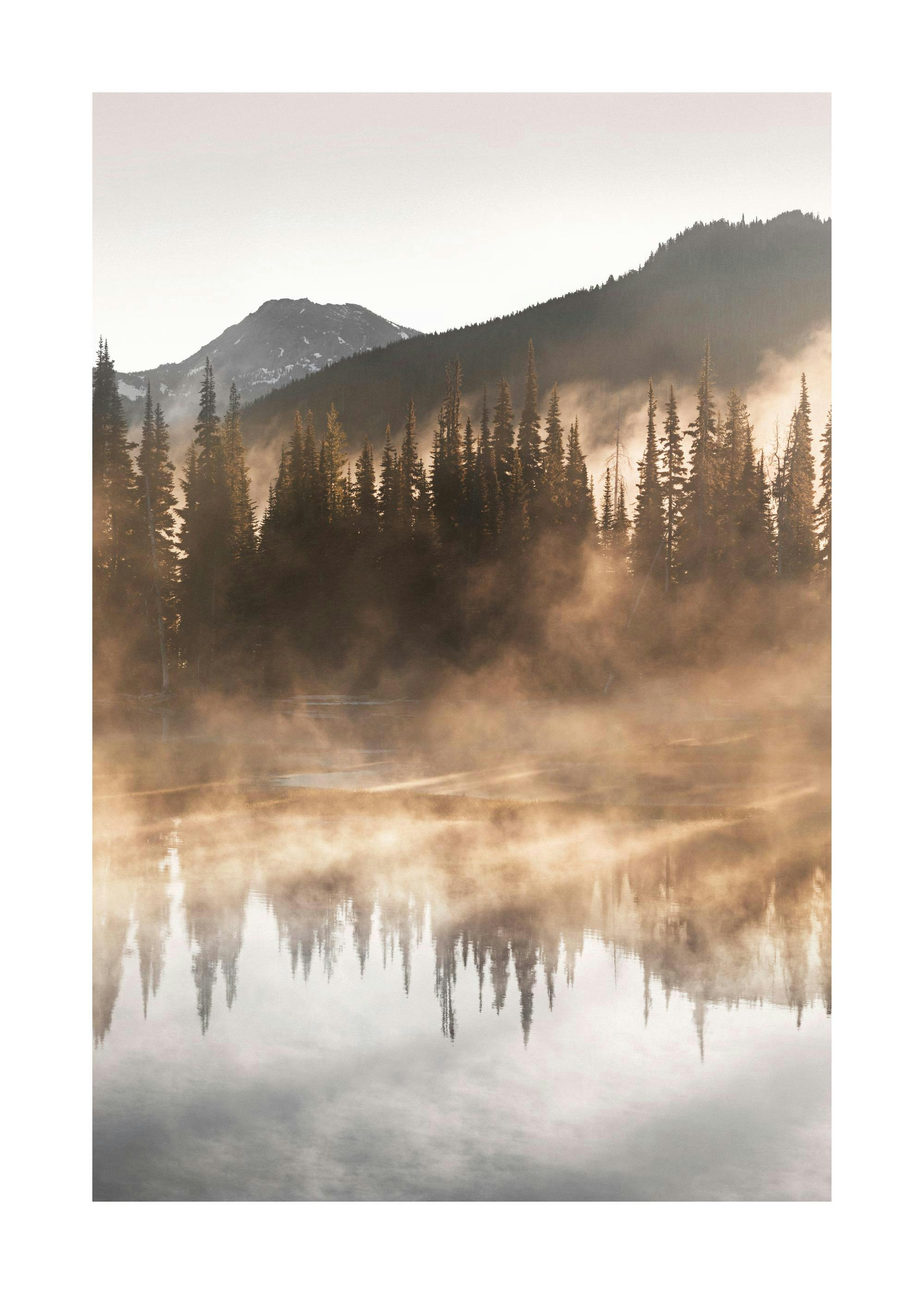 Poster eines nebelverhangenen Bergsees mit Fichtenwald und Reflexionen, aufgehängt neben einer schwarzen Vase.