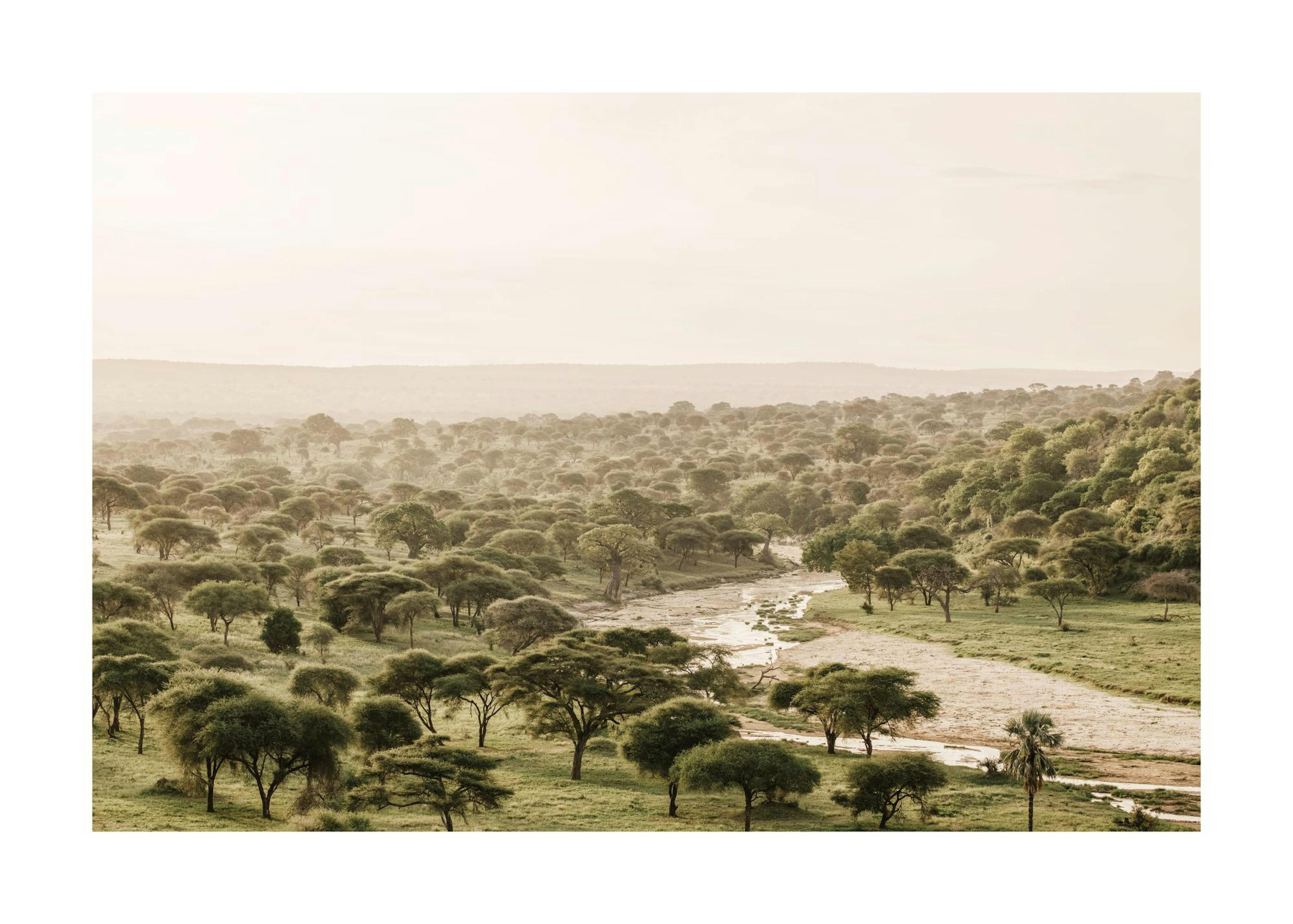 Poster der afrikanischen Wildnis, Savannenlandschaft mit Bäumen, Fluss und hellgelbem Himmel, Fotografie