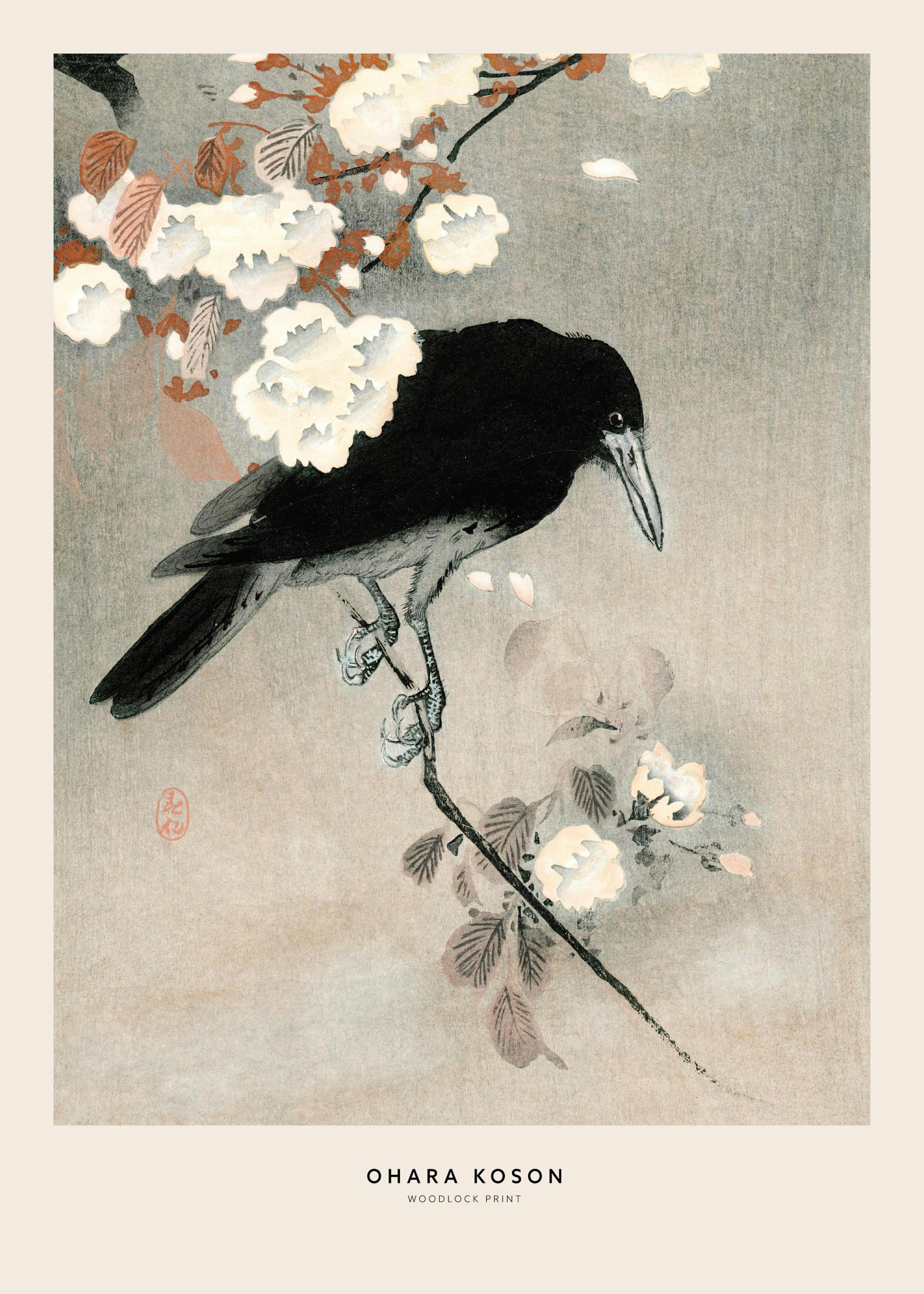 Ohara Koson woodblock print of a black bird on a branch with white flowers and orange leaves, poster print.