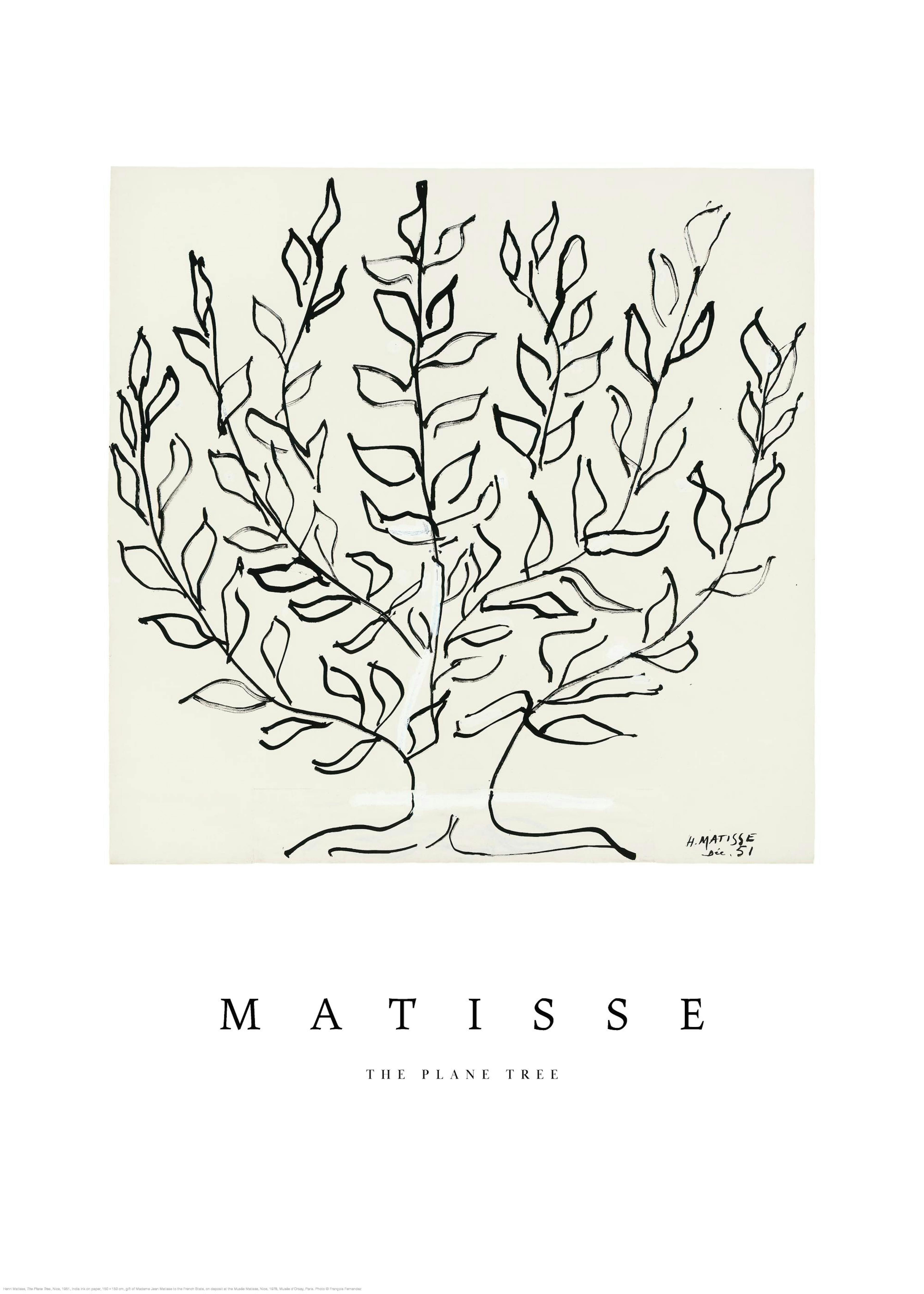 Poster di Matisse, albero stilizzato in arte lineare nera su sfondo beige chiaro.